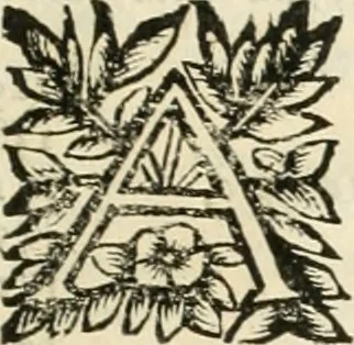 An illustration from Note, overo, Memorie del mvseo di Lodovico Moscardo ..., 1656, leaf 332