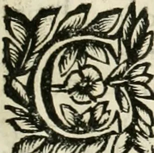 An illustration from Note, overo, Memorie del mvseo di Lodovico Moscardo ..., 1656, leaf 40
