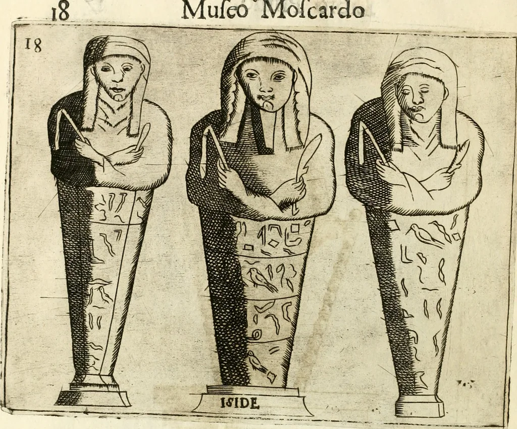An illustration from Note, overo, Memorie del mvseo di Lodovico Moscardo ..., 1656, leaf 41