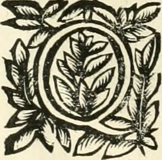 An illustration from Note, overo, Memorie del mvseo di Lodovico Moscardo ..., 1656, leaf 41