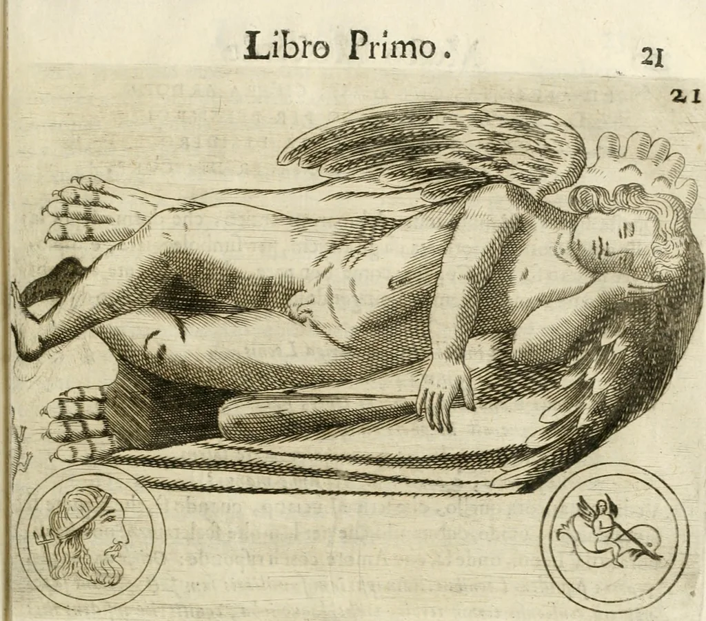An illustration from Note, overo, Memorie del mvseo di Lodovico Moscardo ..., 1656, leaf 44