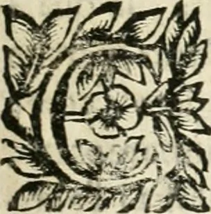 An illustration from Note, overo, Memorie del mvseo di Lodovico Moscardo ..., 1656, leaf 44