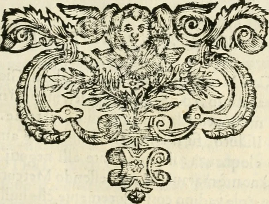 An illustration from Note, overo, Memorie del mvseo di Lodovico Moscardo ..., 1656, leaf 48