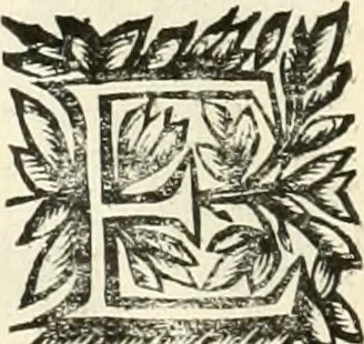 An illustration from Note, overo, Memorie del mvseo di Lodovico Moscardo ..., 1656, leaf 49