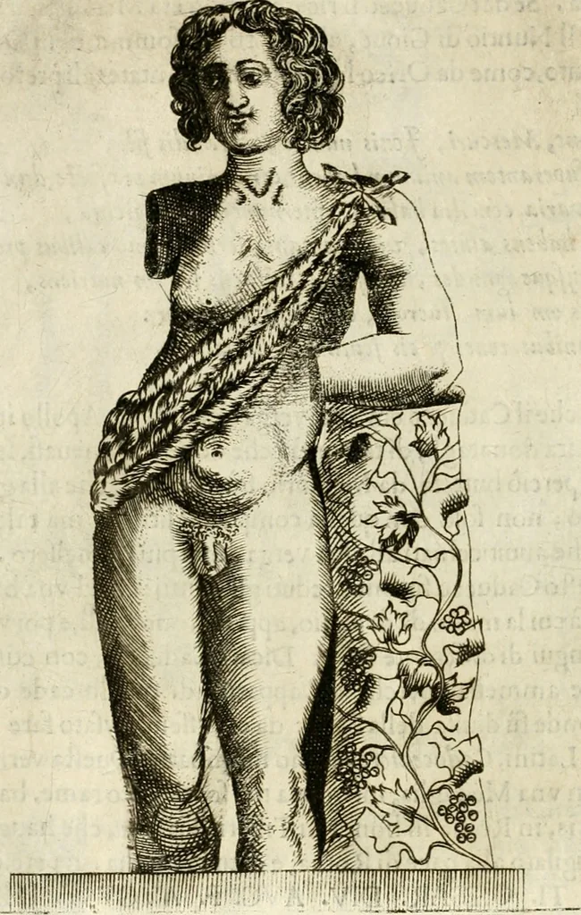 An illustration from Note, overo, Memorie del mvseo di Lodovico Moscardo ..., 1656, leaf 51