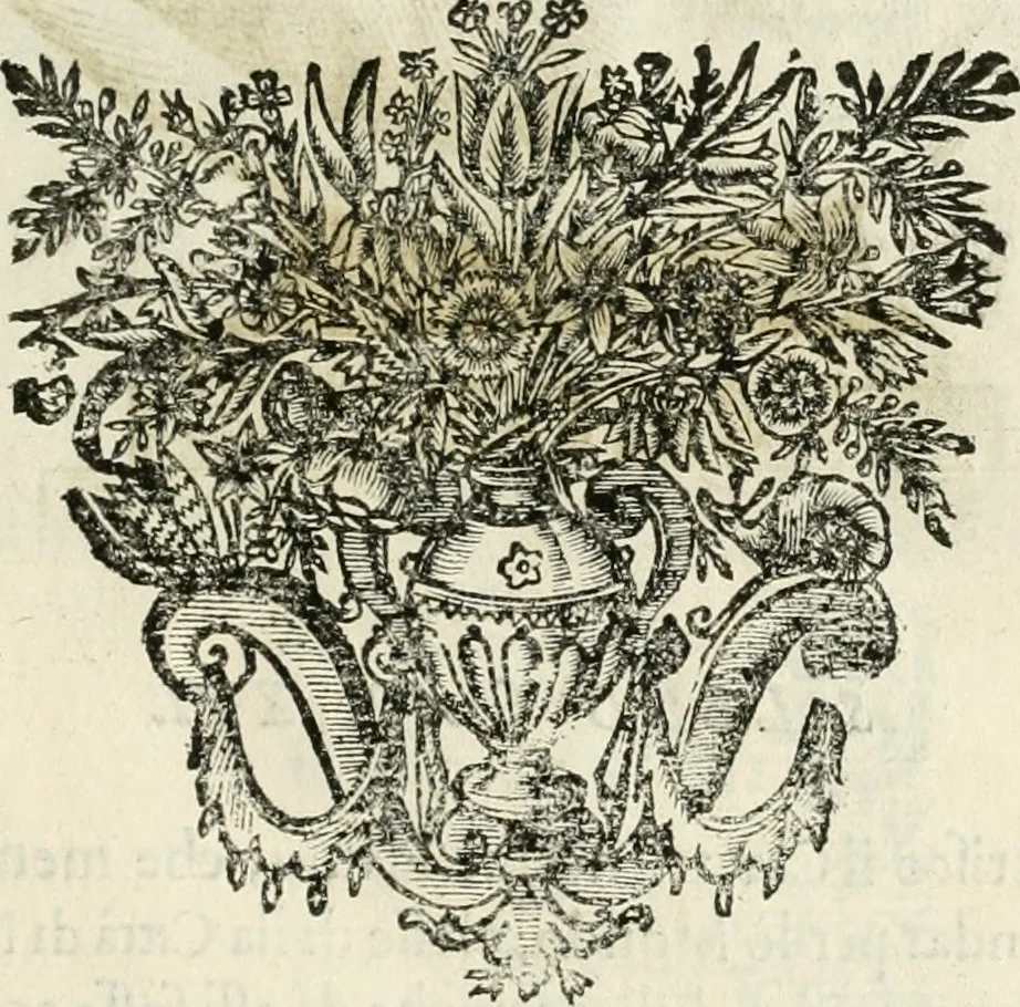 An illustration from Note, overo, Memorie del mvseo di Lodovico Moscardo ..., 1656, leaf 52