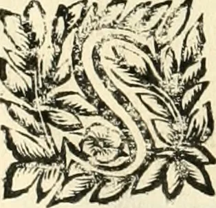 An illustration from Note, overo, Memorie del mvseo di Lodovico Moscardo ..., 1656, leaf 55