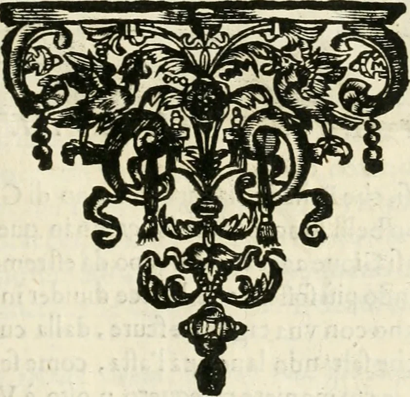 An illustration from Note, overo, Memorie del mvseo di Lodovico Moscardo ..., 1656, leaf 56