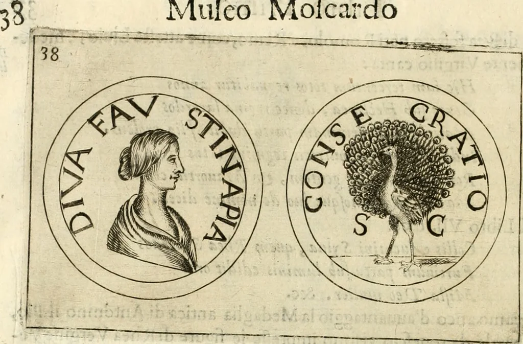 An illustration from Note, overo, Memorie del mvseo di Lodovico Moscardo ..., 1656, leaf 61