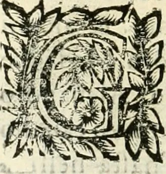 An illustration from Note, overo, Memorie del mvseo di Lodovico Moscardo ..., 1656, leaf 61