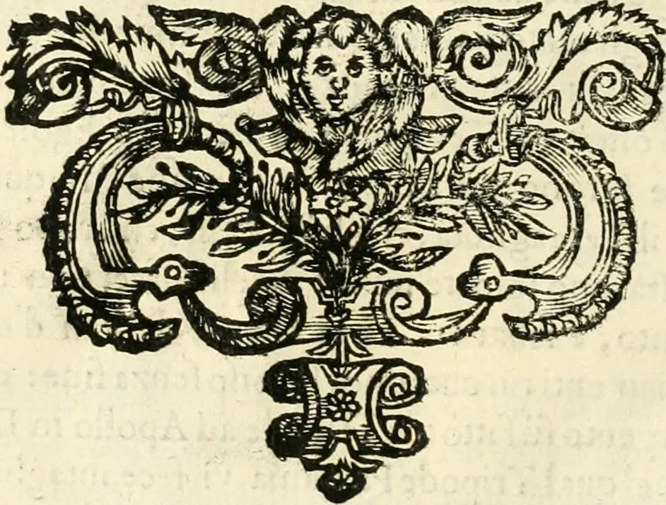 An illustration from Note, overo, Memorie del mvseo di Lodovico Moscardo ..., 1656, leaf 63