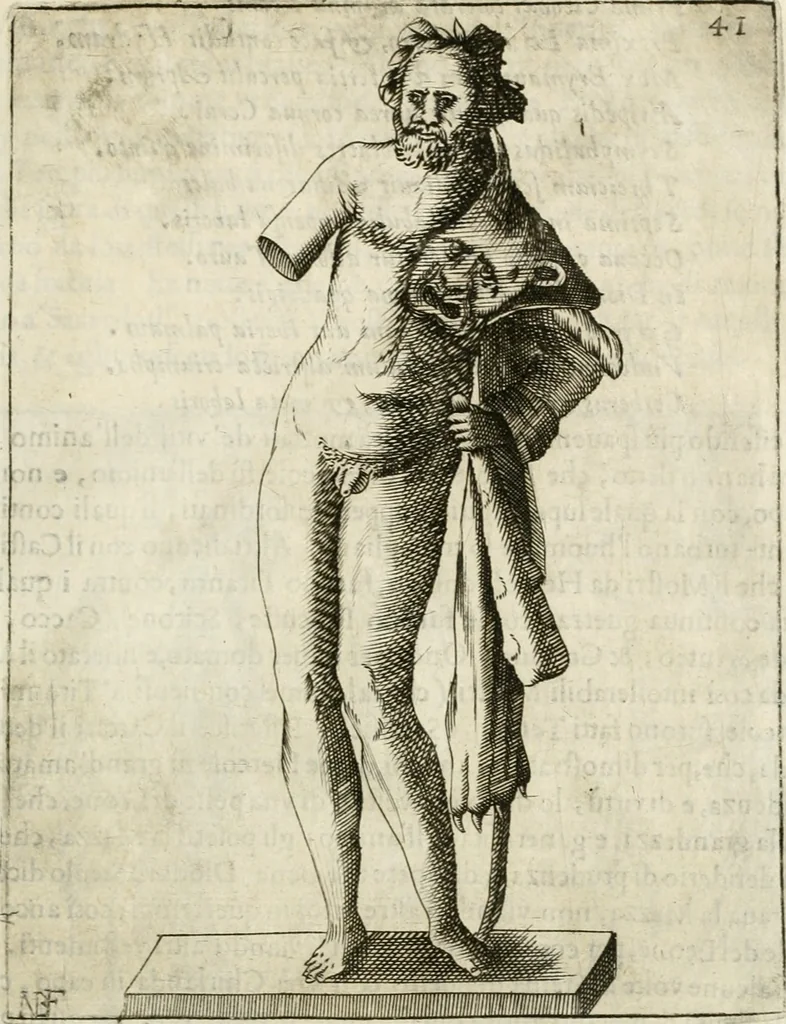 An illustration from Note, overo, Memorie del mvseo di Lodovico Moscardo ..., 1656, leaf 64