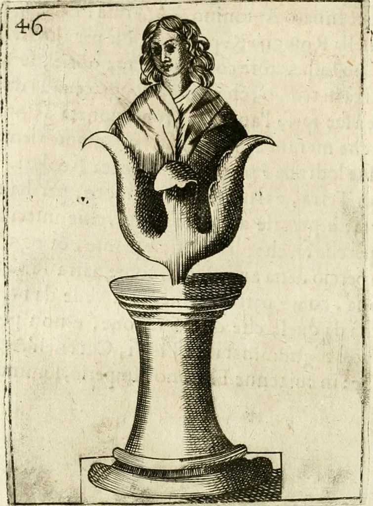 An illustration from Note, overo, Memorie del mvseo di Lodovico Moscardo ..., 1656, leaf 69