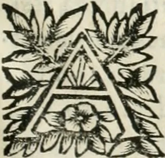 An illustration from Note, overo, Memorie del mvseo di Lodovico Moscardo ..., 1656, leaf 70
