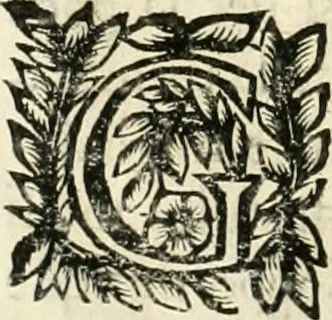 An illustration from Note, overo, Memorie del mvseo di Lodovico Moscardo ..., 1656, leaf 73