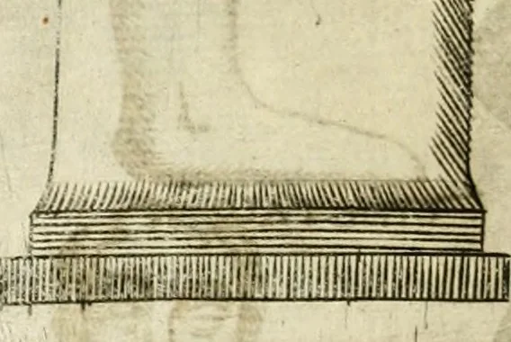 An illustration from Note, overo, Memorie del mvseo di Lodovico Moscardo ..., 1656, leaf 75