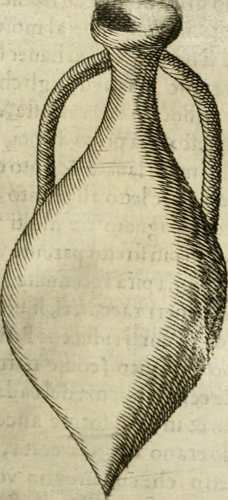 An illustration from Note, overo, Memorie del mvseo di Lodovico Moscardo ..., 1656, leaf 76