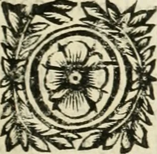 An illustration from Note, overo, Memorie del mvseo di Lodovico Moscardo ..., 1656, leaf 76