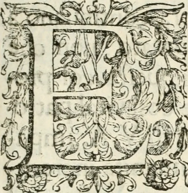 An illustration from Note, overo, Memorie del mvseo di Lodovico Moscardo ..., 1656, leaf 8