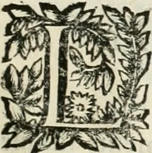 An illustration from Note, overo, Memorie del mvseo di Lodovico Moscardo ..., 1656, leaf 80
