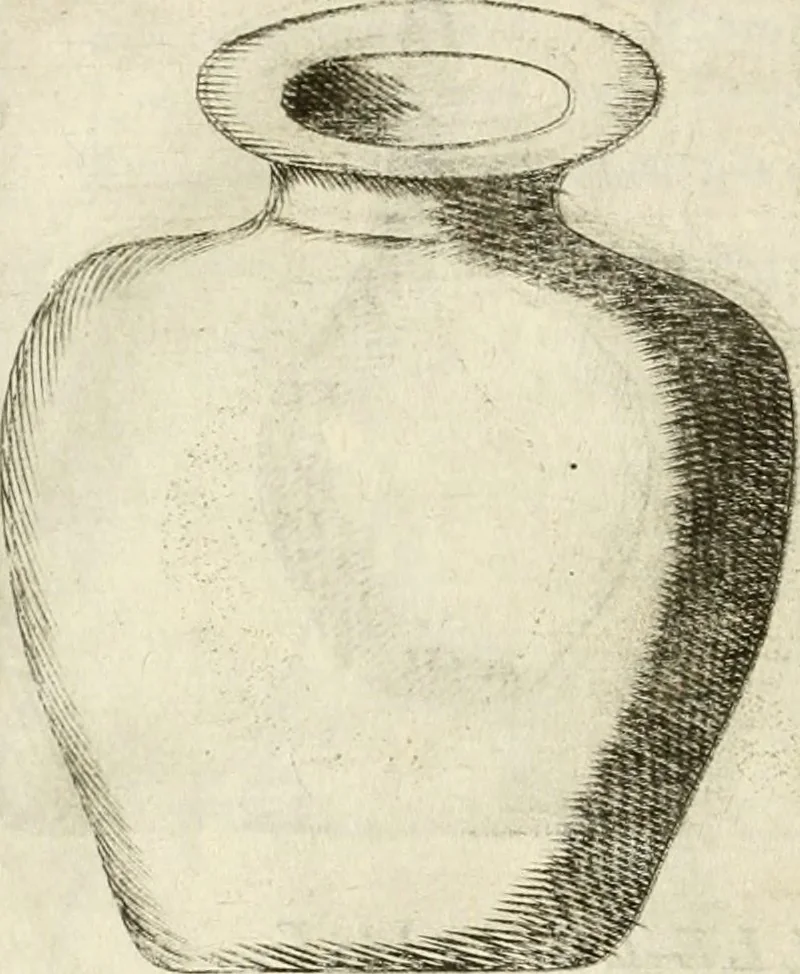An illustration from Note, overo, Memorie del mvseo di Lodovico Moscardo ..., 1656, leaf 81