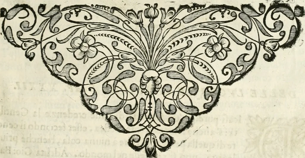 An illustration from Note, overo, Memorie del mvseo di Lodovico Moscardo ..., 1656, leaf 82