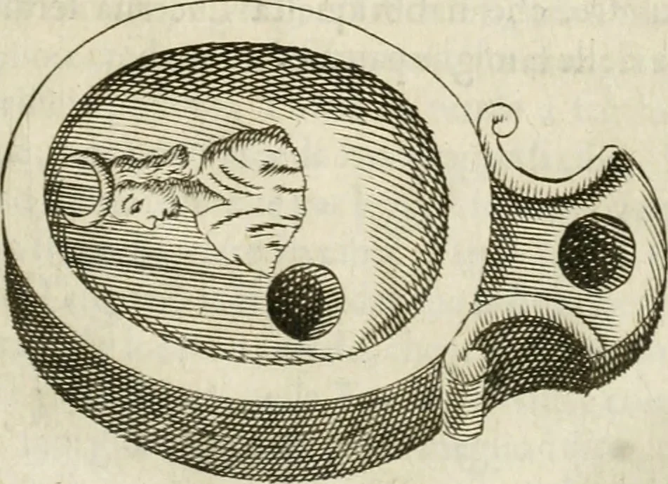 An illustration from Note, overo, Memorie del mvseo di Lodovico Moscardo ..., 1656, leaf 86
