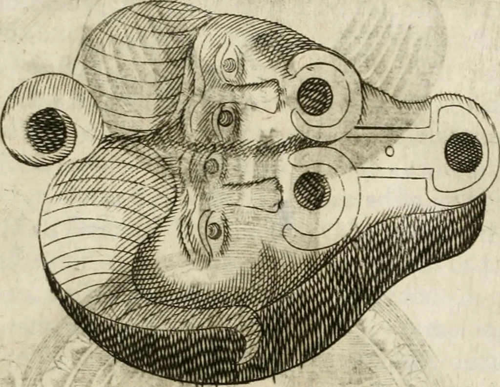 An illustration from Note, overo, Memorie del mvseo di Lodovico Moscardo ..., 1656, leaf 90