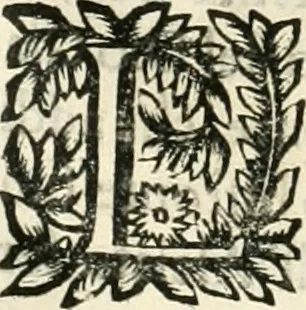 An illustration from Note, overo, Memorie del mvseo di Lodovico Moscardo ..., 1656, leaf 91