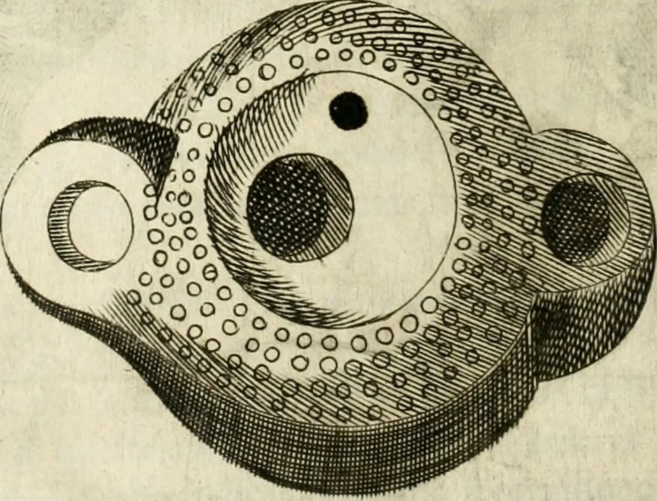 An illustration from Note, overo, Memorie del mvseo di Lodovico Moscardo ..., 1656, leaf 93