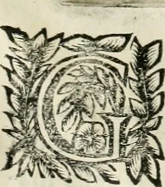 An illustration from Note, overo, Memorie del mvseo di Lodovico Moscardo ..., 1656, leaf 94