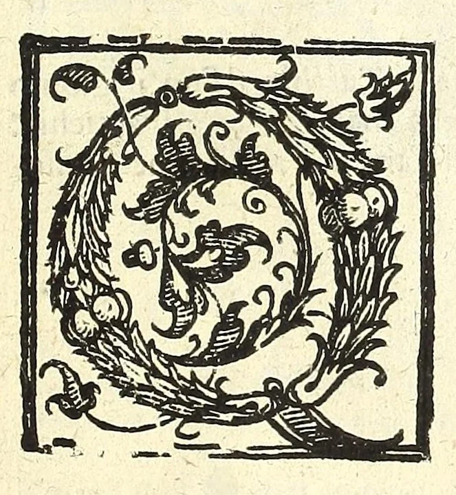 An illustration from Note overo memorie del museo del conte Lodovico Moscardo nobile veronese, 1672, leaf 123