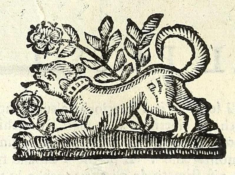 An illustration from Note overo memorie del museo del conte Lodovico Moscardo nobile veronese, 1672, leaf 210
