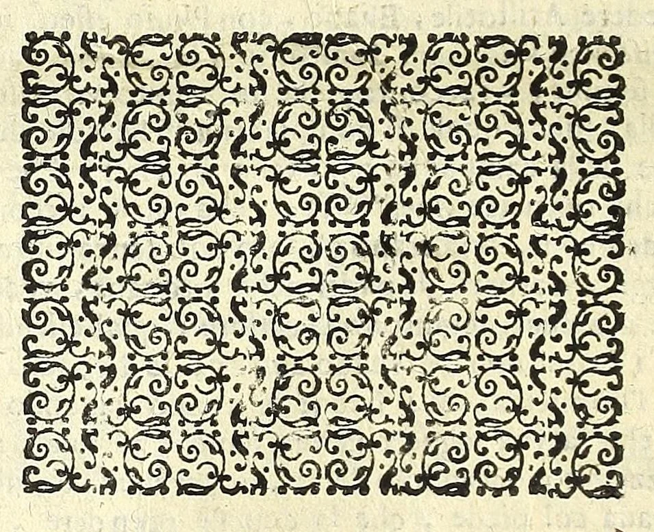 An illustration from Note overo memorie del museo del conte Lodovico Moscardo nobile veronese, 1672, leaf 266