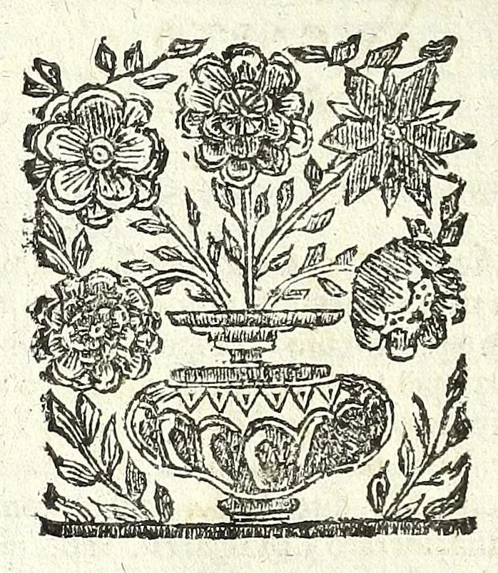 An illustration from Note overo memorie del museo del conte Lodovico Moscardo nobile veronese, 1672, leaf 356