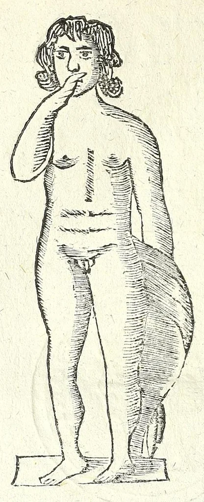 An illustration from Note overo memorie del museo del conte Lodovico Moscardo nobile veronese, 1672, leaf 360