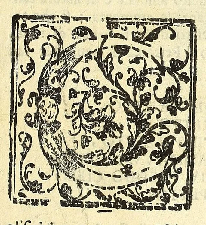 An illustration from Note overo memorie del museo del conte Lodovico Moscardo nobile veronese, 1672, leaf 41