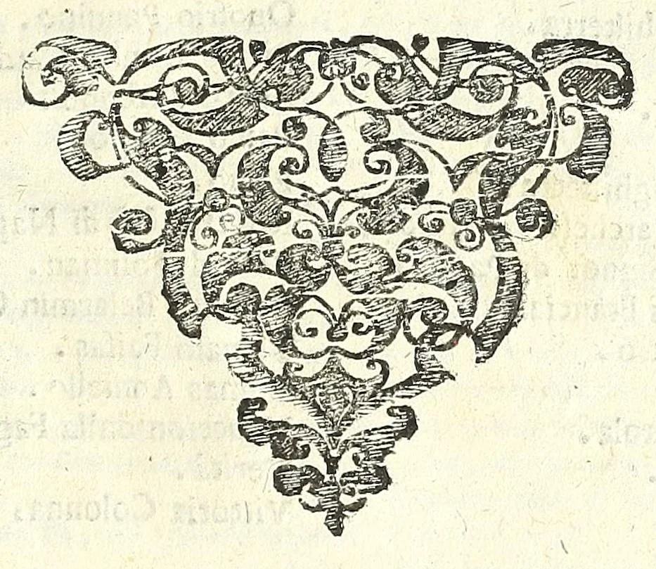 An illustration from Note overo memorie del museo del conte Lodovico Moscardo nobile veronese, 1672, leaf 491