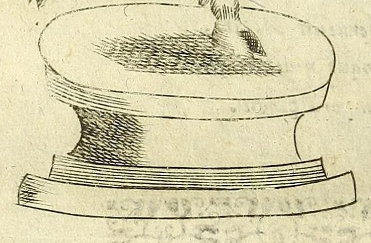 An illustration from Note overo memorie del museo del conte Lodovico Moscardo nobile veronese, 1672, leaf 52