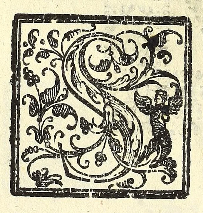 An illustration from Note overo memorie del museo del conte Lodovico Moscardo nobile veronese, 1672, leaf 52