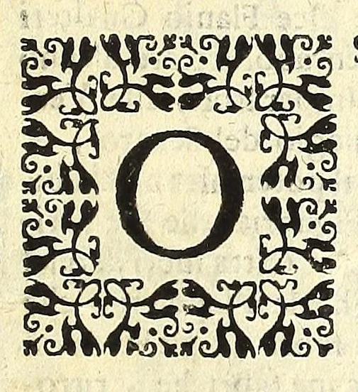 An illustration from Note overo memorie del museo del conte Lodovico Moscardo nobile veronese, 1672, leaf 73