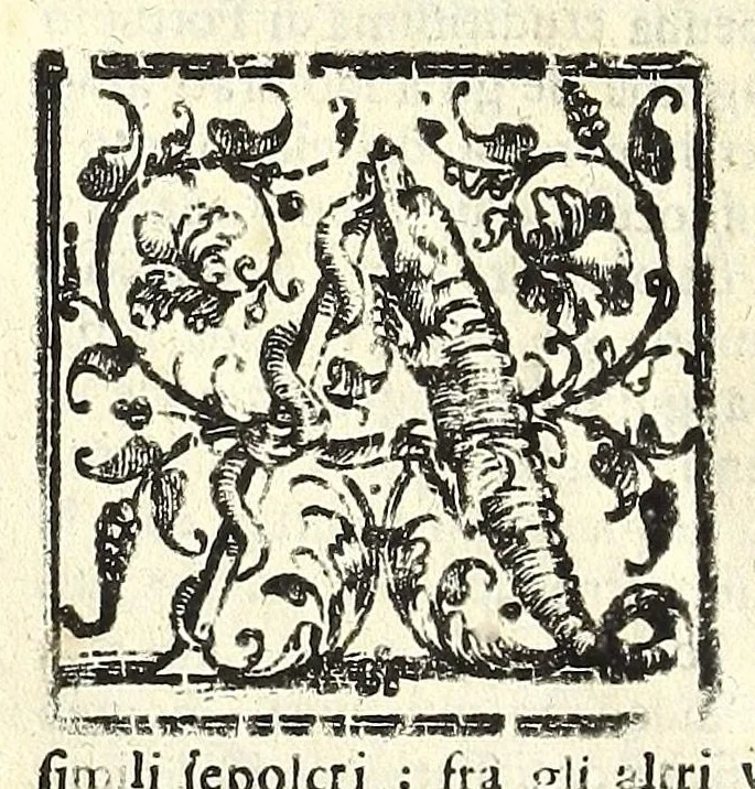 An illustration from Note overo memorie del museo del conte Lodovico Moscardo nobile veronese, 1672, leaf 78