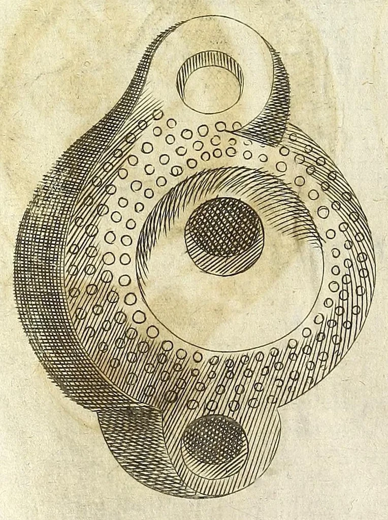 An illustration from Note overo memorie del museo del conte Lodovico Moscardo nobile veronese, 1672, leaf 90