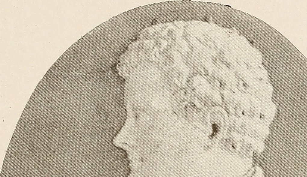 An illustration from Notes of an art collector, 1907, leaf 128
