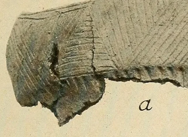 An illustration from Notes on Iroquois archeology, 1921, leaf 109