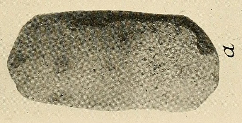 An illustration from Notes on Iroquois archeology, 1921, leaf 145