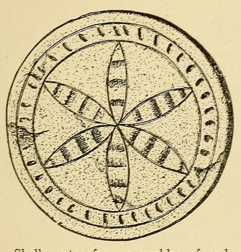 An illustration from Notes on Iroquois archeology, 1921, leaf 157