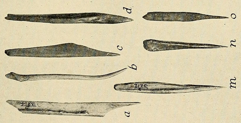 An illustration from Notes on Iroquois archeology, 1921, leaf 171