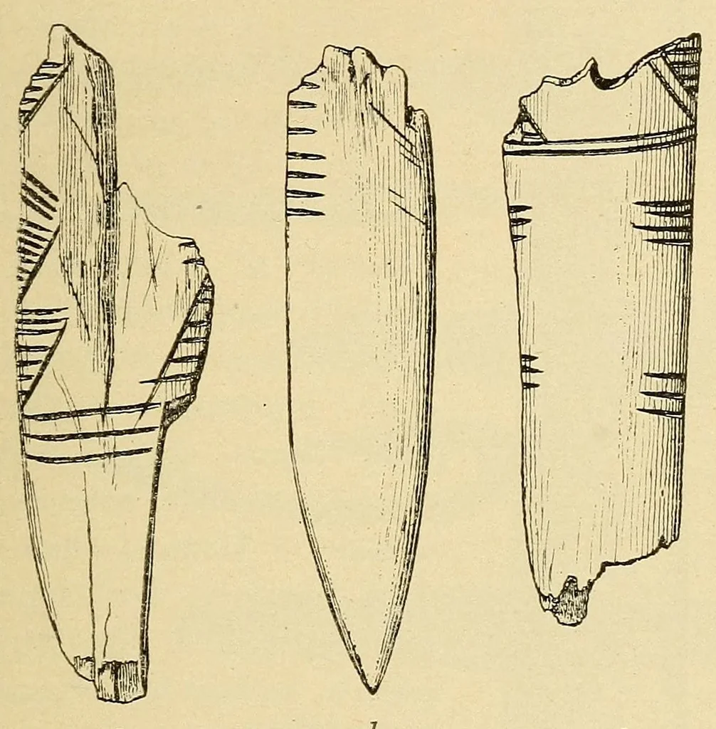An illustration from Notes on Iroquois archeology, 1921, leaf 185