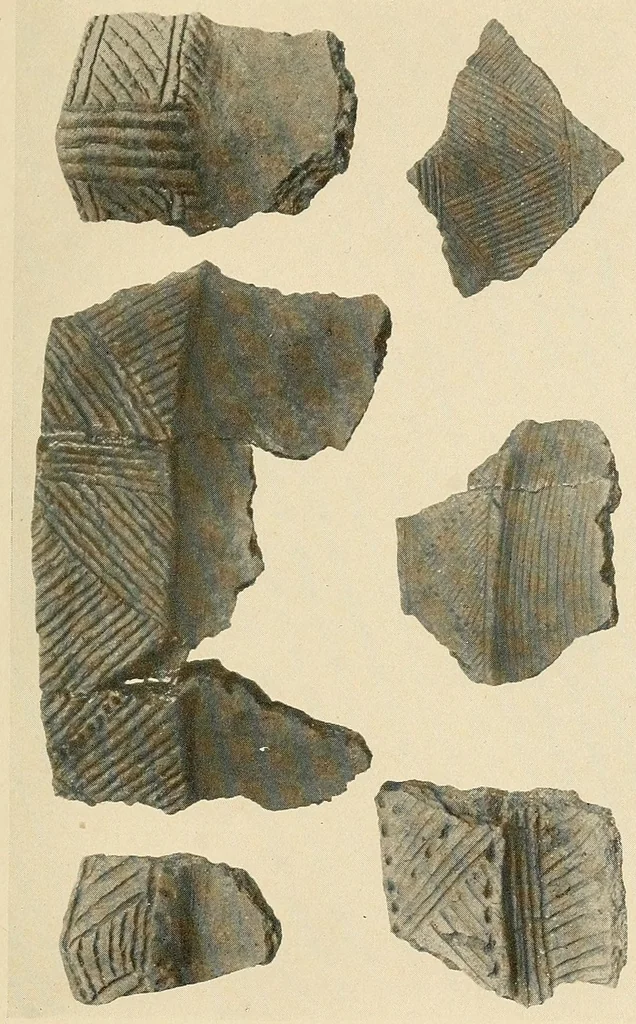 An illustration from Notes on Iroquois archeology, 1921, leaf 221